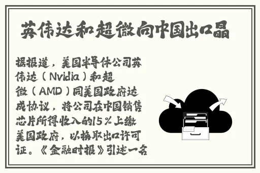 小猪视频在线观看版